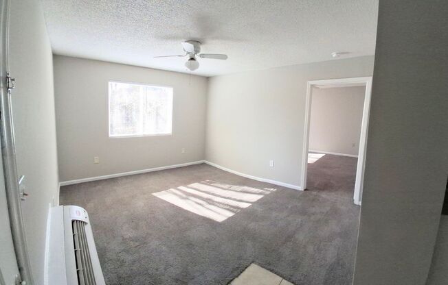1 bed, 1 bath, 590 sqft, $1,075