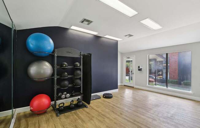 A gym room with a rack of weights and a red ball.