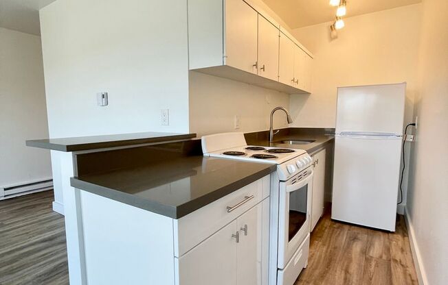 1 bed, 1 bath, 485 sqft, $1,575, Unit 408