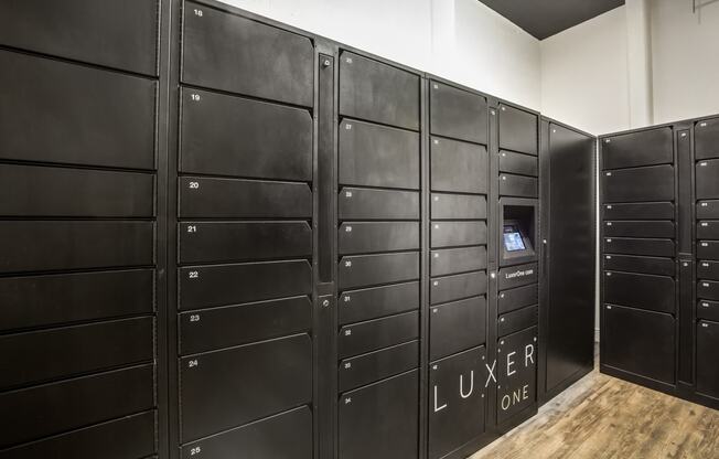 24-Hour Package Lockers with LuxerOne at The Monterey by Windsor, Texas, 75204