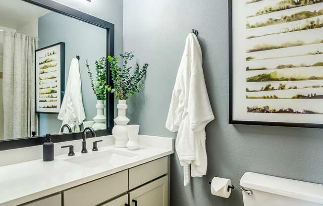 a bathroom with a sink and a mirror and a toilet