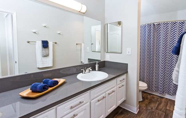 Bathroom with updated countertops