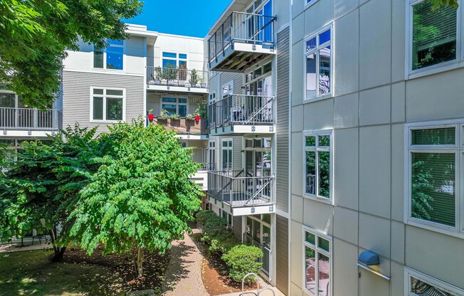 Courtyards with greenery at 7 Cameron Apartments, Cambridge, MA, 02140