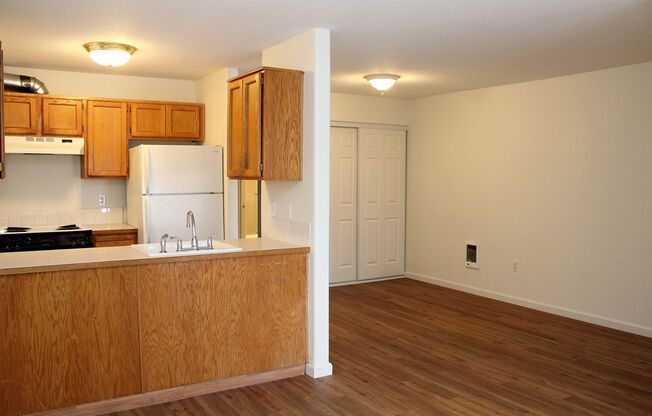 1 bed, 1 bath, 600 sqft, $1,095