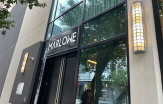 2 Bed condo in downtown Houston