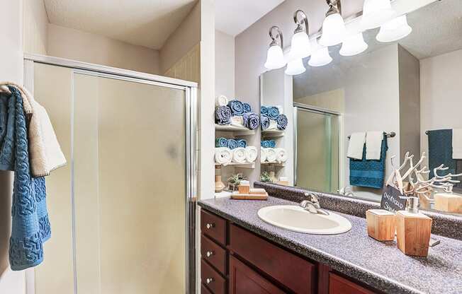 Bathroom with a vanity, mirror and shower cubicle in a signature series 2-bed, 2-bath apartment at Somerset Lakes.