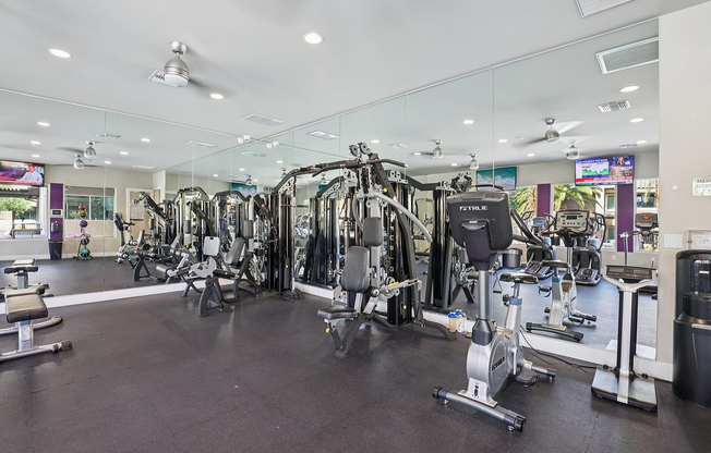 Training and Weight Equipment