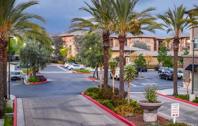 A street view of a residential area with palm trees and parked cars.