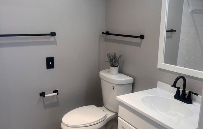 1 bed, 1 bath, 560 sqft, $850, Unit 217