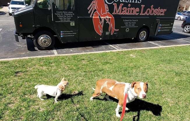 Cousin's Maine Lobster