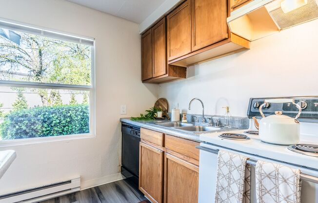 Pacific Walk Townhomes - Your New Oasis