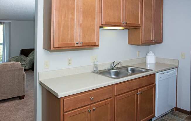 EdenvaleApartments_EdenPrairie_MN_modelkitchen2