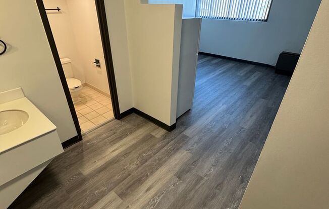 Studio, 1 bath, 265 sqft, $705, Unit 316