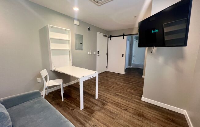 Studio, 1 bath, 254 sqft, $1,675, Unit 434-203