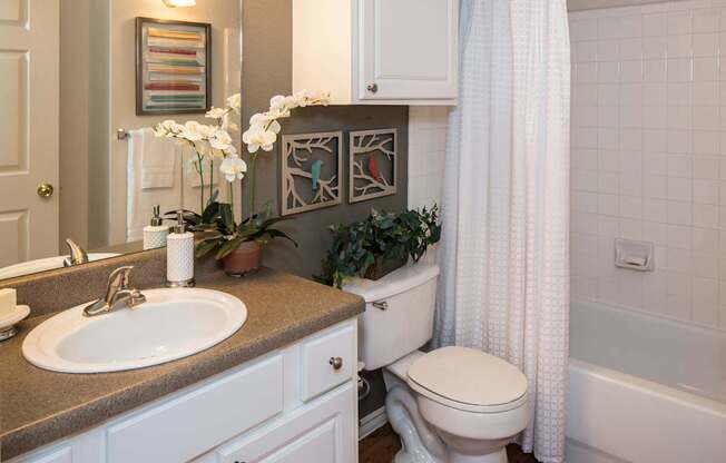 A white toilet sits next to a sink in a bathroom.