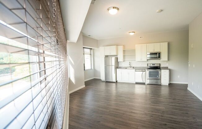 Studio, 1 bath, 554 sqft, $1,050, Unit 161401