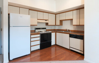 Studio, 1 bath, 380 sqft, $1,099, Unit 205