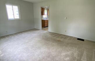 4809 Spatz