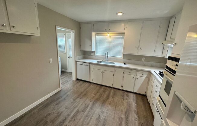 Renovated in 2023!! 4BD/2BA; Quick Walk to Campus