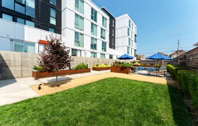 a backyard with a lawn and a patio with umbrellas