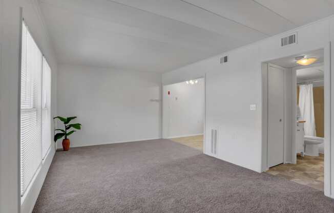 Apartments in Williamsport | Woodland Park | a bedroom with a large window and a carpeted floor