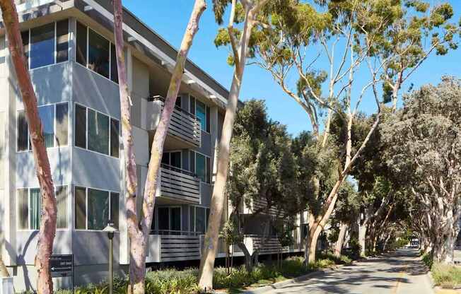 A tree-lined street with apartment buildings on either side.