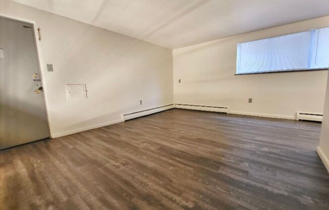 1 bed, 1 bath, 600 sqft, $1,425