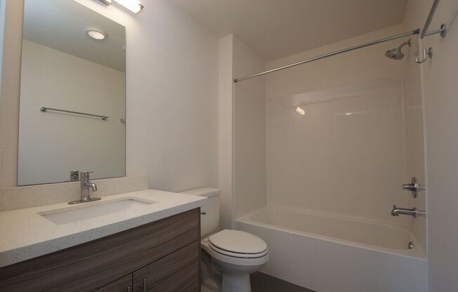 Studio, 1 bath, 255 sqft, $1,195, Unit 215 NEW