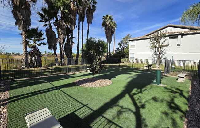 A backyard with a green lawn and palm trees.