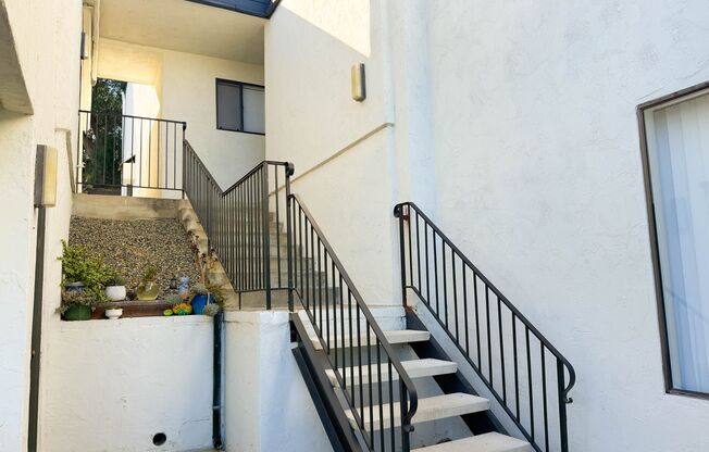 Collins Park | A Peaceful Community for Every Lifestyle!