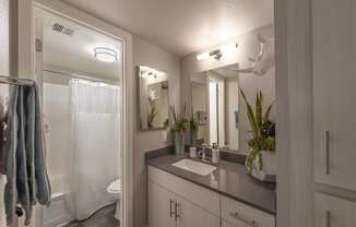The Icon on Central Apartments in Phoenix, Arizona Model Bathroom