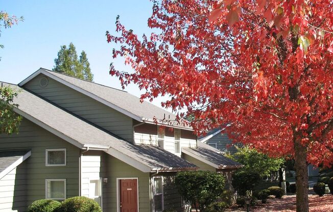 2 beds, 1.5 baths, 900 sqft, $1,585, Unit 3771