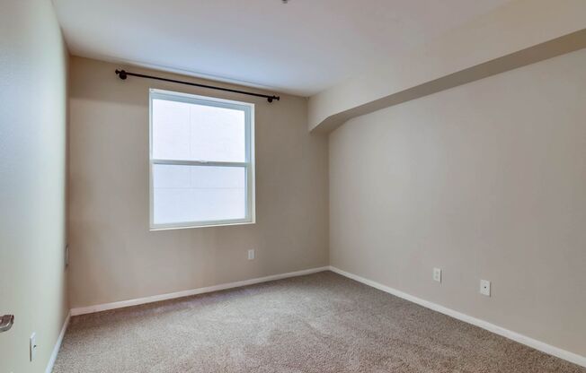 Charming Condo in Little Italy!