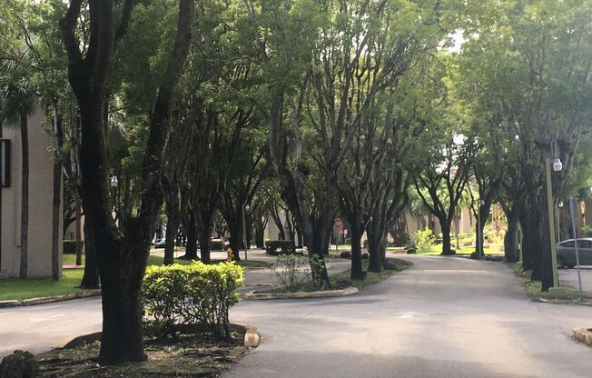 PROMENADE AT KENDALE LAKES - 1 BEDROOM /1 BATHROOM - $1,700