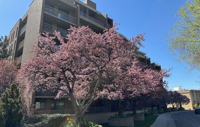 Gorgeous Penthouse in the heart of SLC!!!