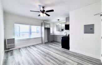 Studio, 1 bath, $1,350, Unit 203