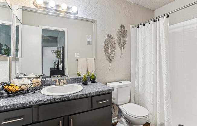 Contemporary bathroom with a sink and a toilet and a shower at Laurels of Sendera apartments in Arlington, TX