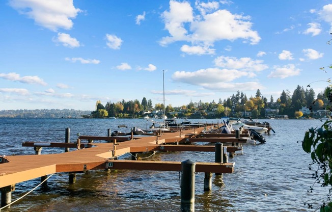 a dock on a lake with boats docked on it