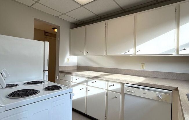 1 bed, 1 bath, 540 sqft, $1,595, Unit 418