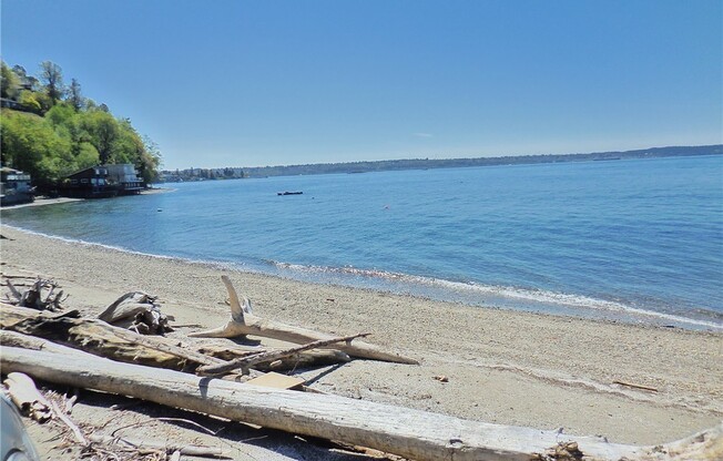 Amazing Dash Point Beach Front Home!