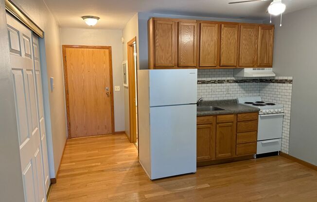Studio, 1 bath, 350 sqft, $1,100, Unit Unit 309