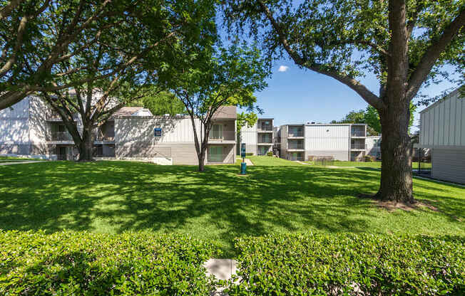 A tree in a grassy area in front of apartment buildings.