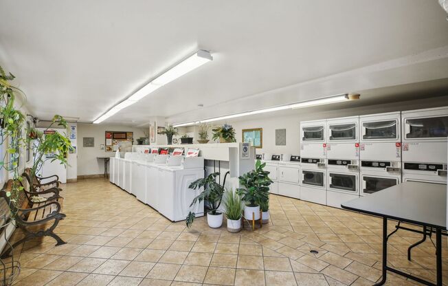 23930 Copa Pacific Apts LLC