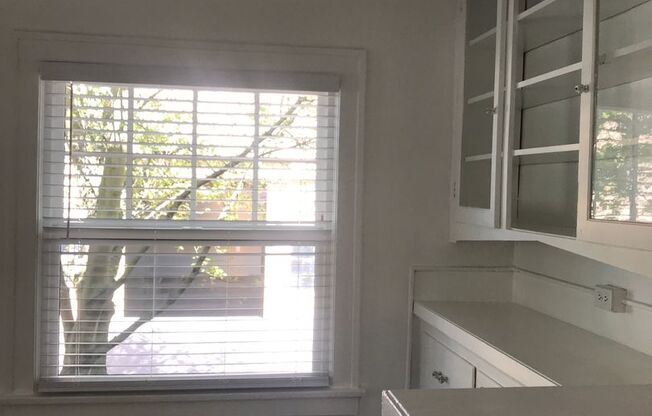 Studio, 1 bath, 389 sqft, $1,199, Unit 100