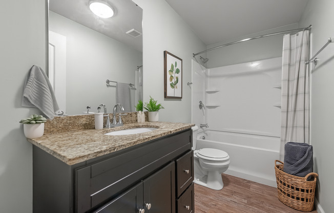 1 bed, 1 bath, 562 sqft, $1,050, Unit 216