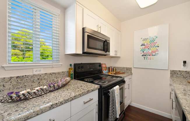 a kitchen with granite counter tops and a stove and microwave