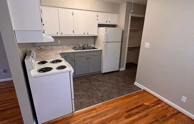 Jonquil Lane 10