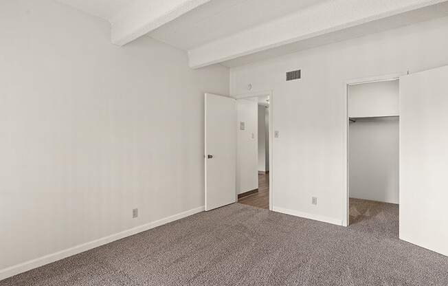 Spacious Bedroom in Apartment with walk-in Closest