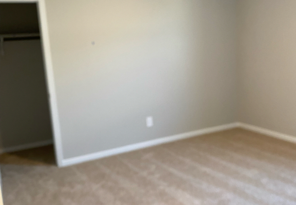 232 SOLITUDE DR