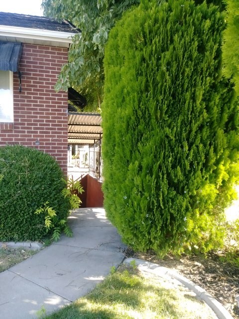 Creekside Townhomes (CT)